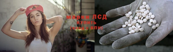 эйфоретик Алзамай