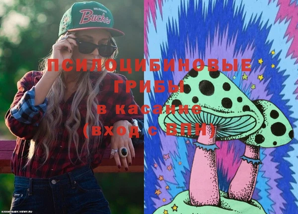 ешки Алексеевка