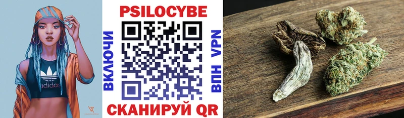 Псилоцибиновые грибы Psilocybine cubensis  Любим 